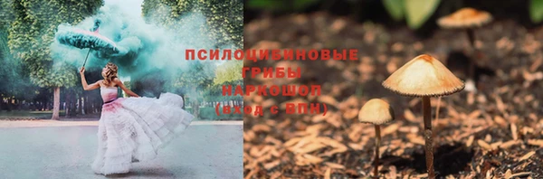 apvp Покров