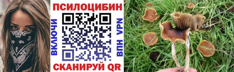 где можно купить   Нариманов  площадка как зайти  Псилоцибиновые грибы мухоморы 